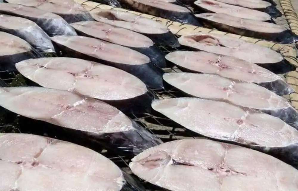 Cá Thu một nắng Cô Tô