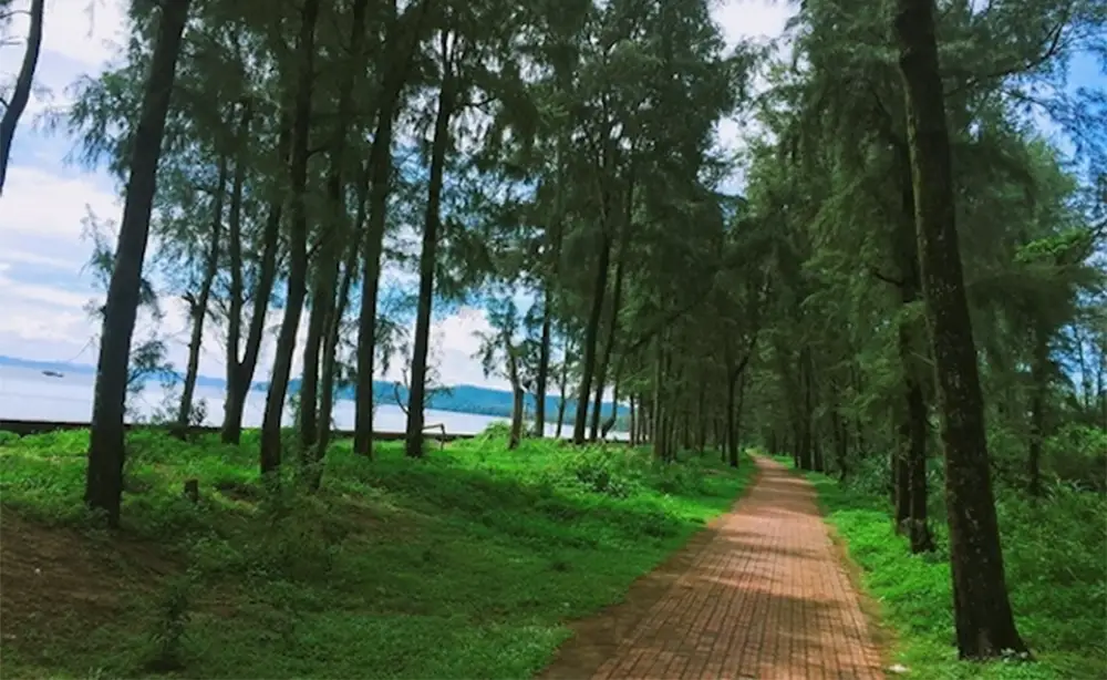 Lạc bước đến con đường Tình Yêu