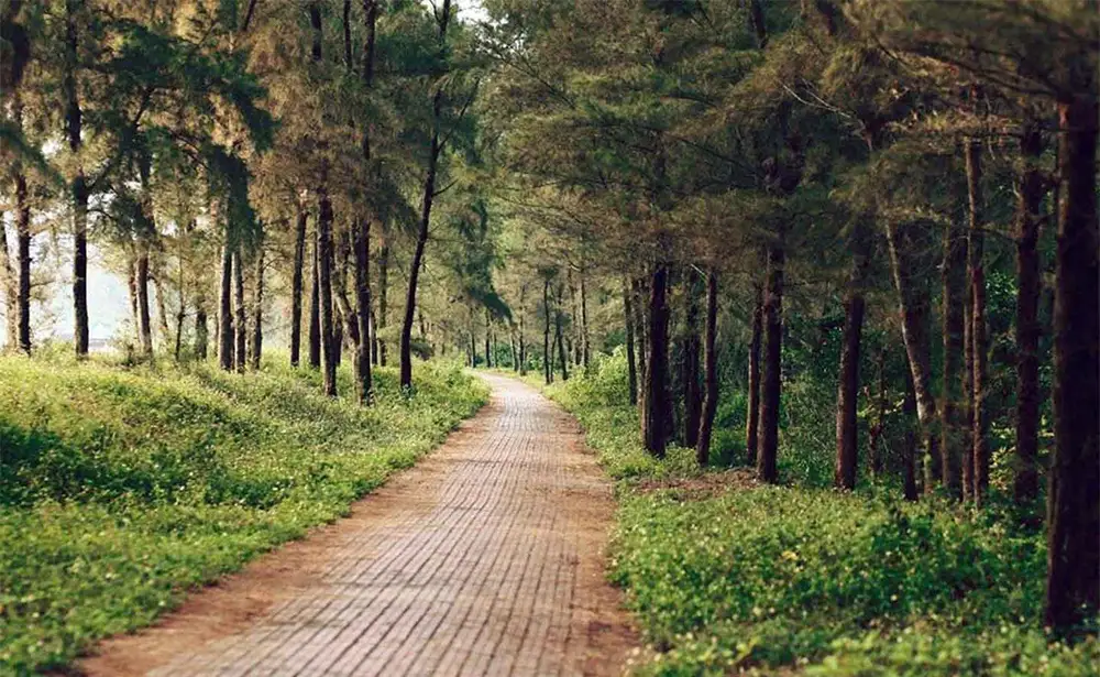 Lạc bước đến con đường Tình Yêu lãng mạn trên đảo Cô Tô