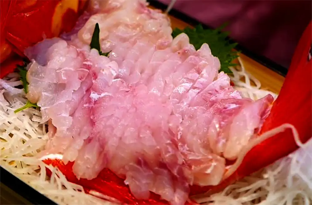 Gỏi cả song Cô Tô