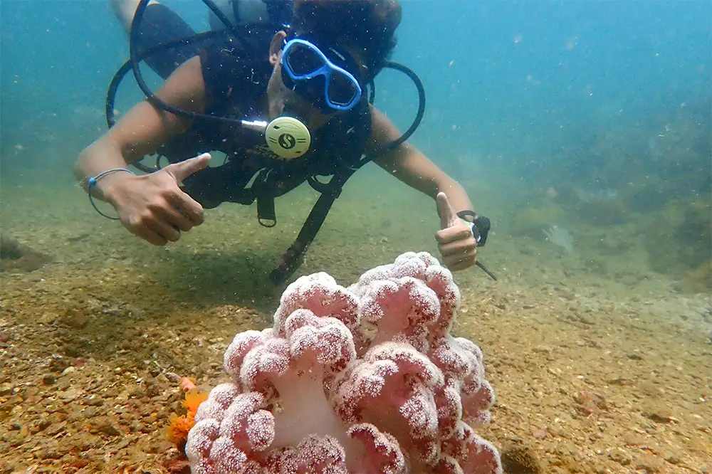 Du khách thích thú tham gia hoạt động lặn biển ngắm san hô ở Cô Tô