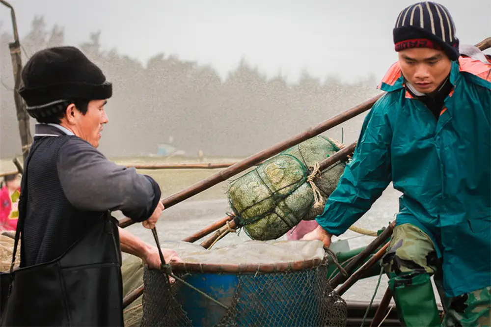 Khệ nệ khiêng thùng sứa